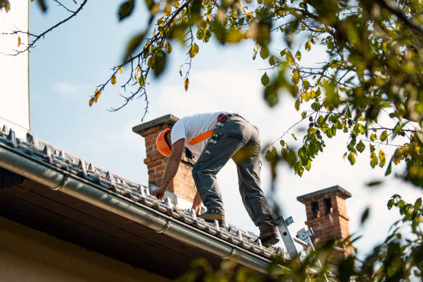 Roof Insulation in Bonadelle Ranchos, CA